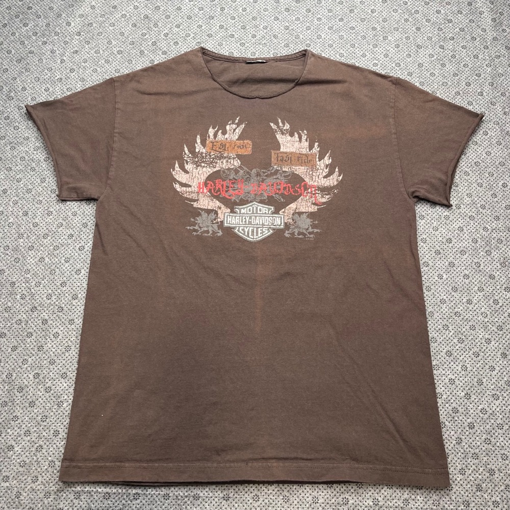 Vintage 2005 Harley Davidson T-Shirt (L) Mens Wisconsin‎ Dells Distressed Faded